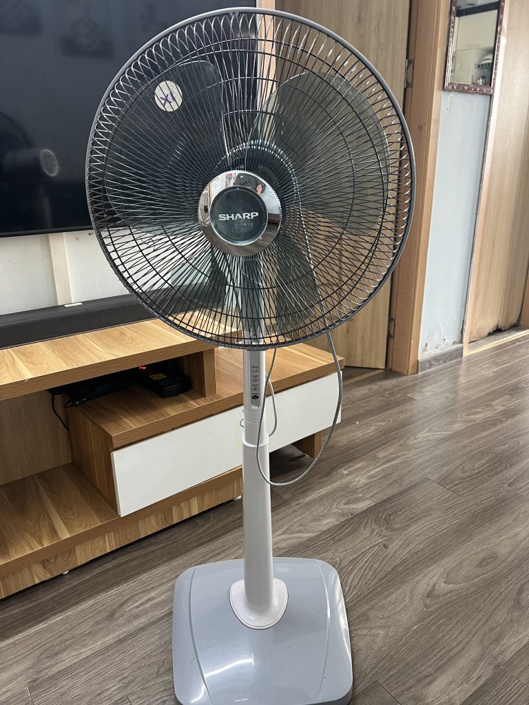 IMG_6743.jpeg