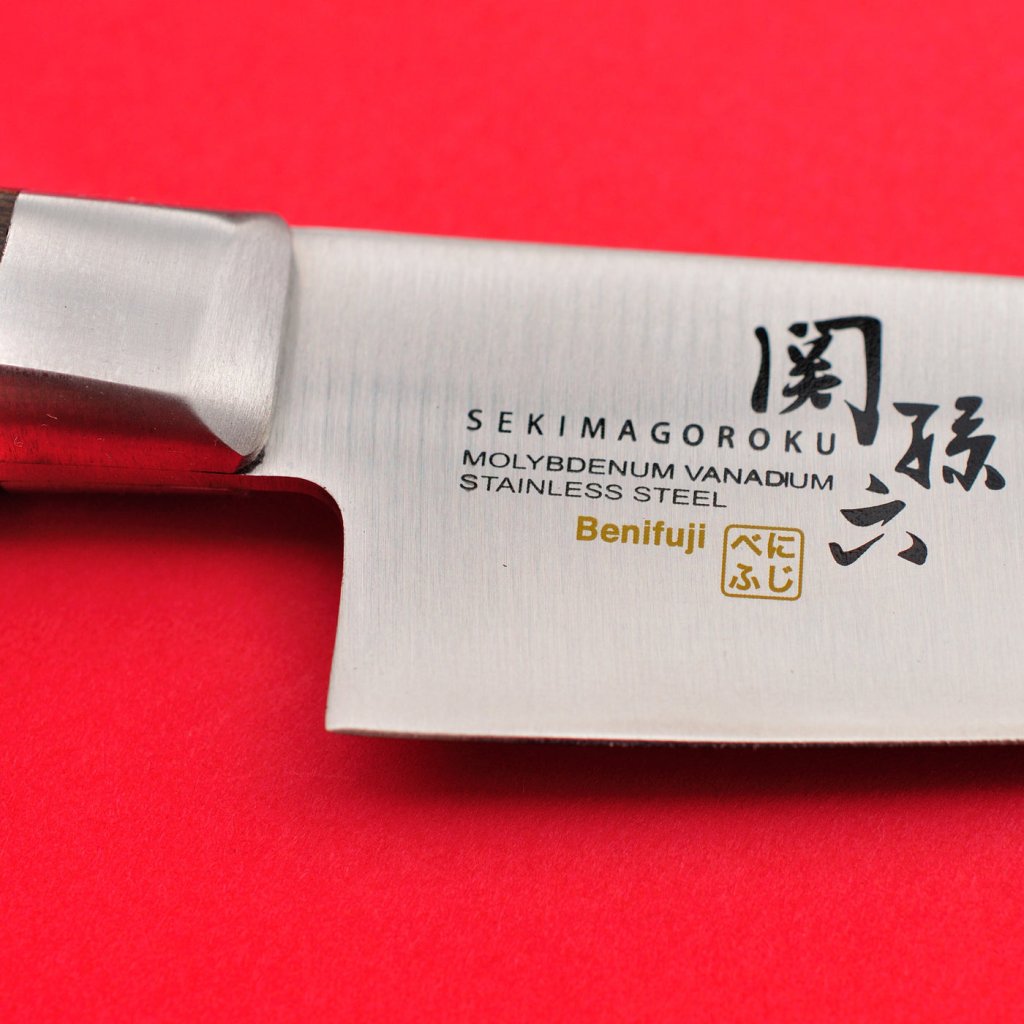Benifuji_logo_GP1_87f2a55f-bc17-4f63-a37f-a88718d444c4_1400x.jpg