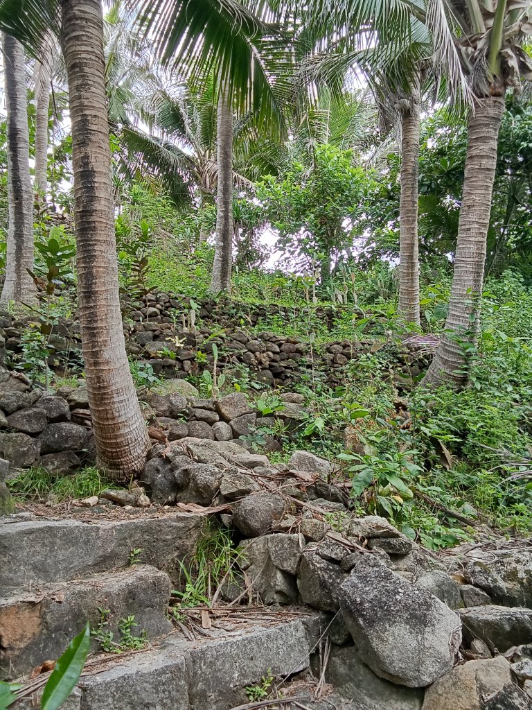 IMG20250710093528.jpg