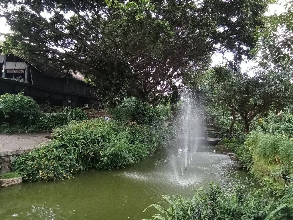 IMG20250712175144.jpg