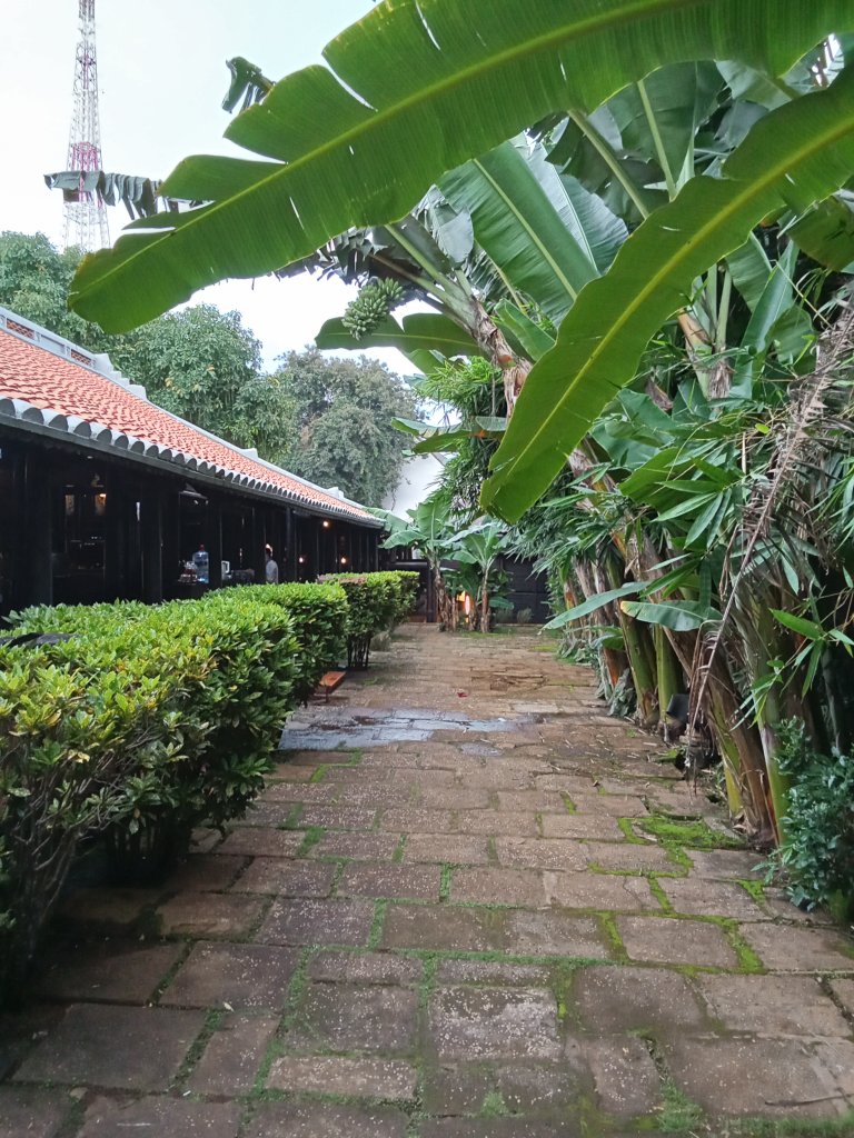 IMG20250712175050.jpg