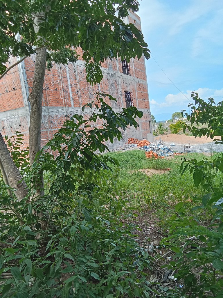 IMG20250713135548.jpg