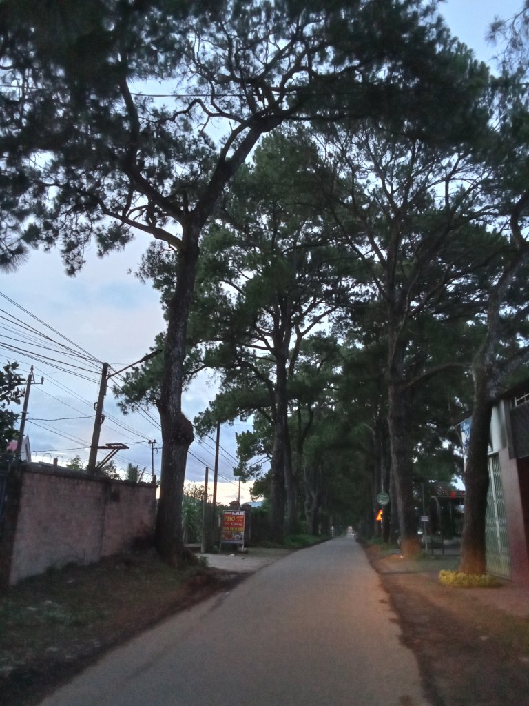 IMG20250713181746.jpg