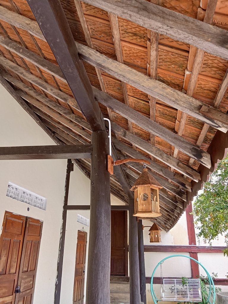 IMG20250714110150.jpg