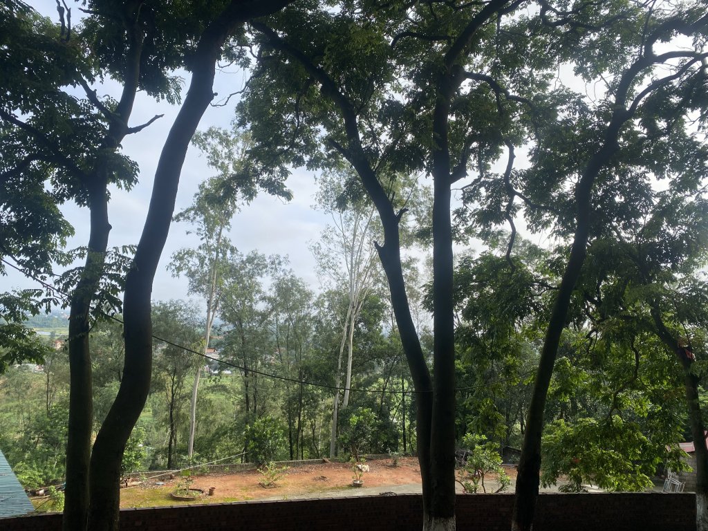 IMG_0901.jpeg