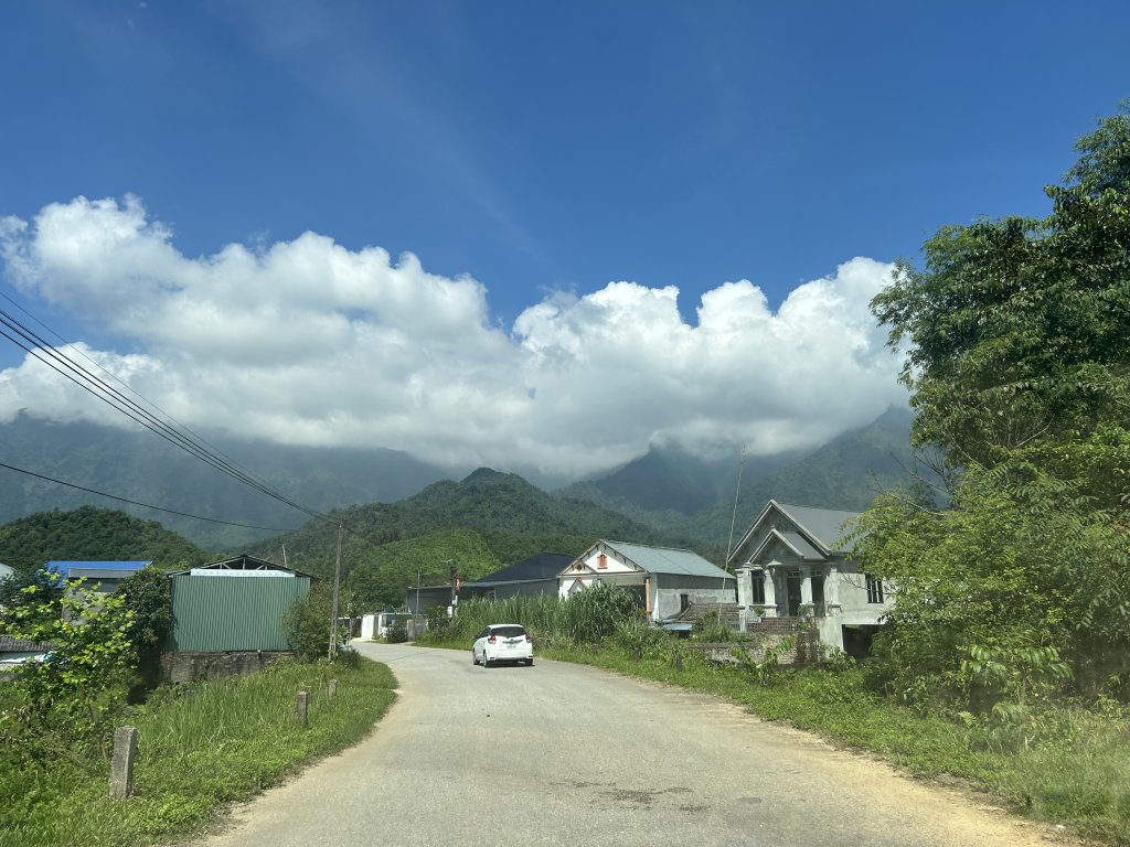 IMG_0908.jpeg