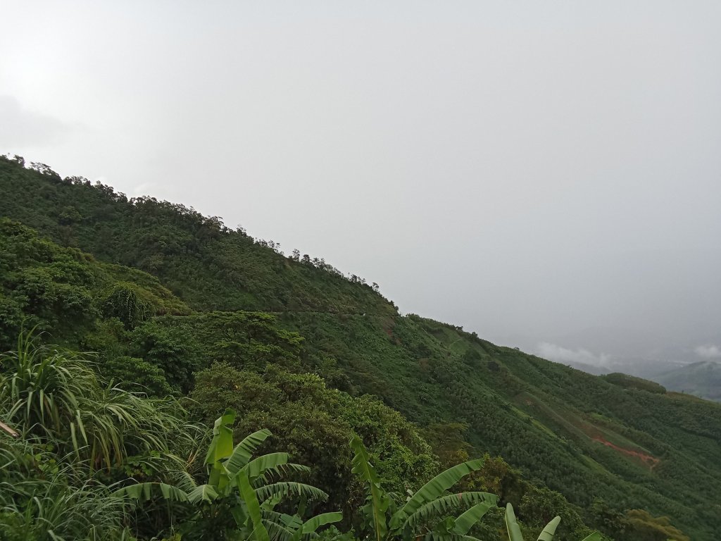 IMG20250715141316.jpg