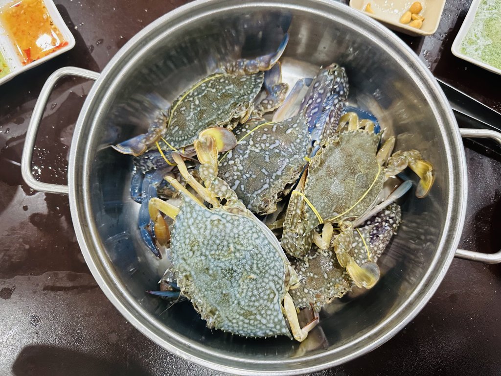 IMG_1002.jpeg