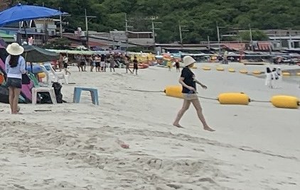 IMG_8013.jpeg