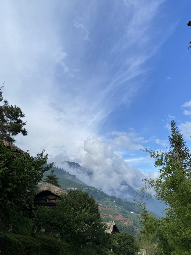 IMG_3256.jpeg