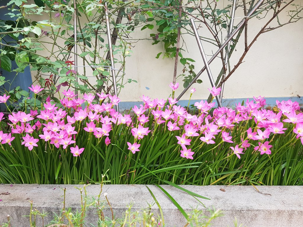 20200925_151042.jpg
