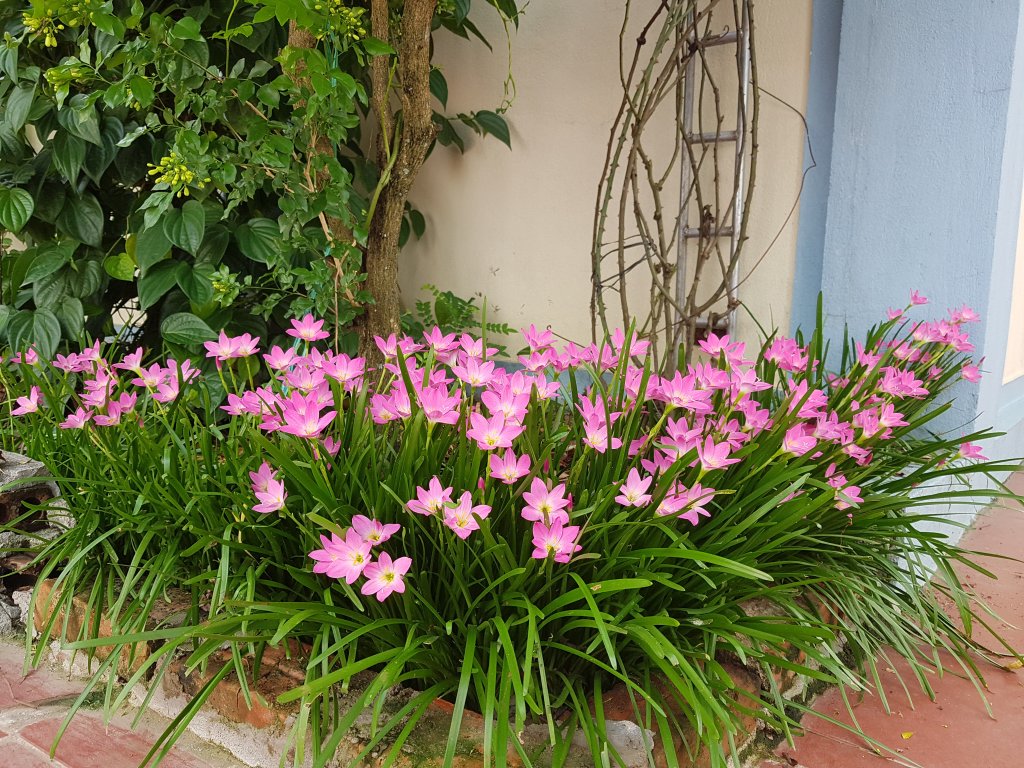 20200925_151055.jpg
