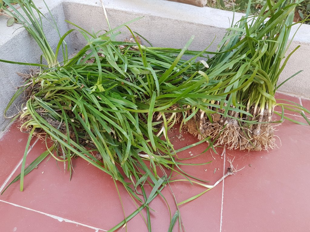 20180602_171033.jpg