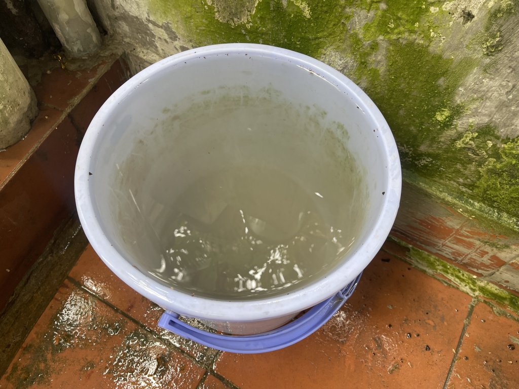 IMG_3239.jpeg