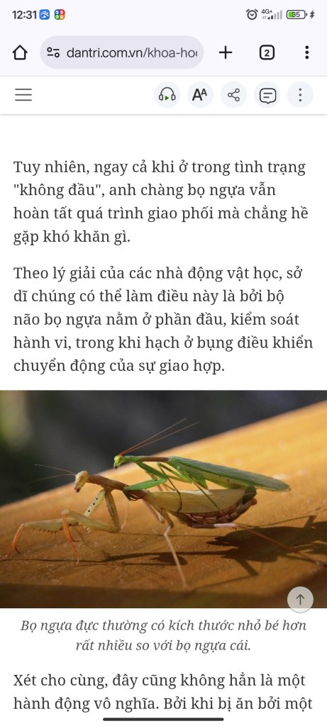 Screenshot_2025-07-28-12-31-27-388_com.android.chrome.jpg