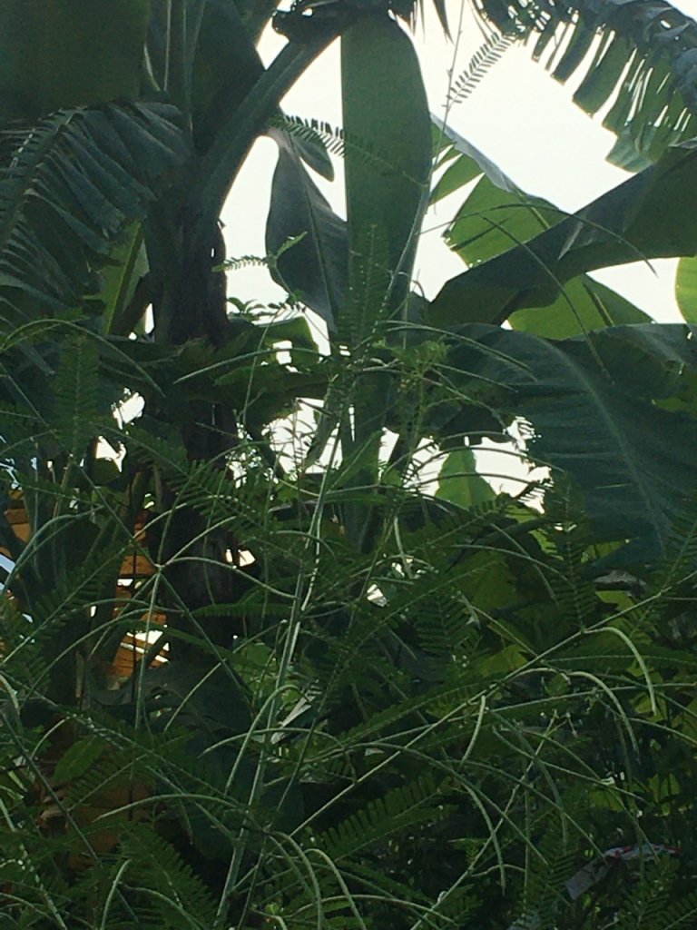 z6849011063779_6f868c9bd2ccee6cfaee186675b5b4f2.jpg