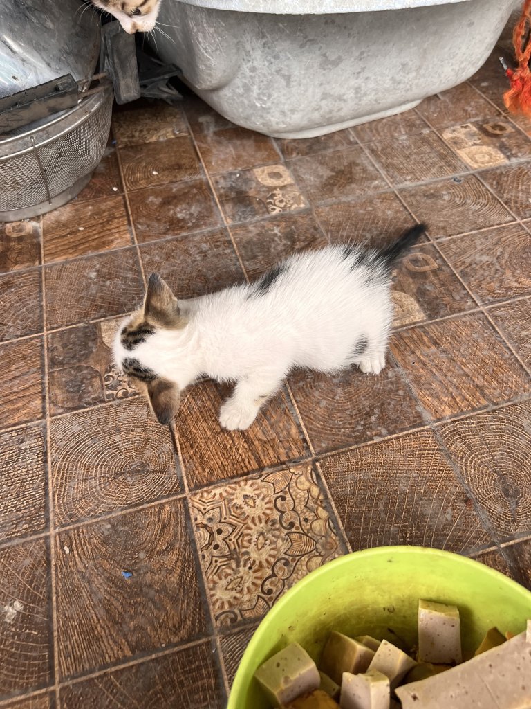 BF0C0081-F3E6-4813-A1D6-BB96BF726D0A.jpeg