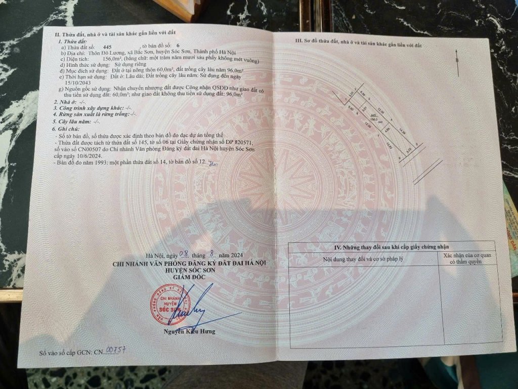 1000013063.jpg