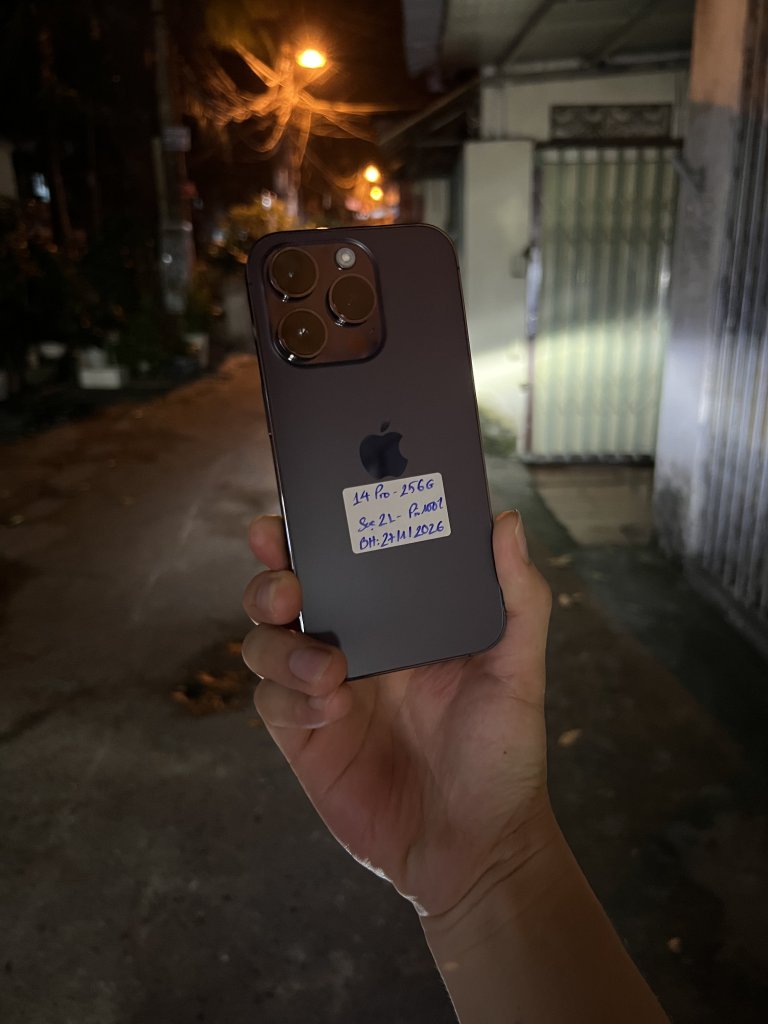 IMG_9981.jpeg