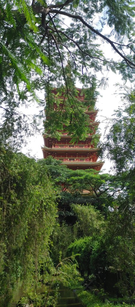 20250728_143040_HDR.jpg