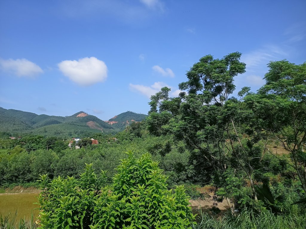 IMG20250727090231.jpg