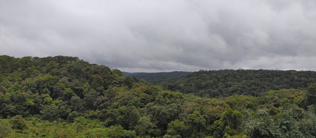 20250729_113730.jpg