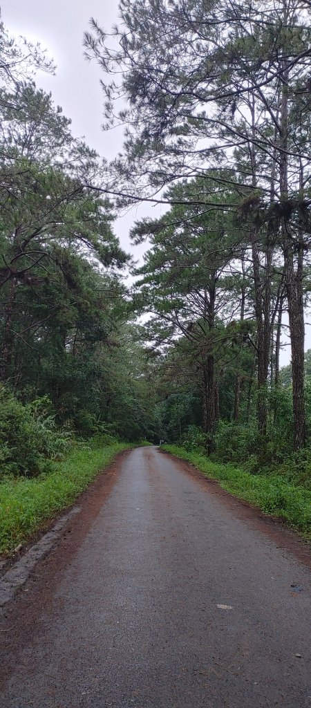 20250729_102125_HDR.jpg