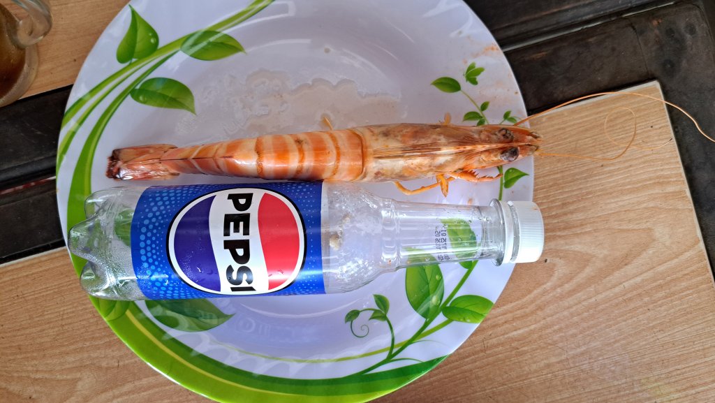 20250729_114257.jpg