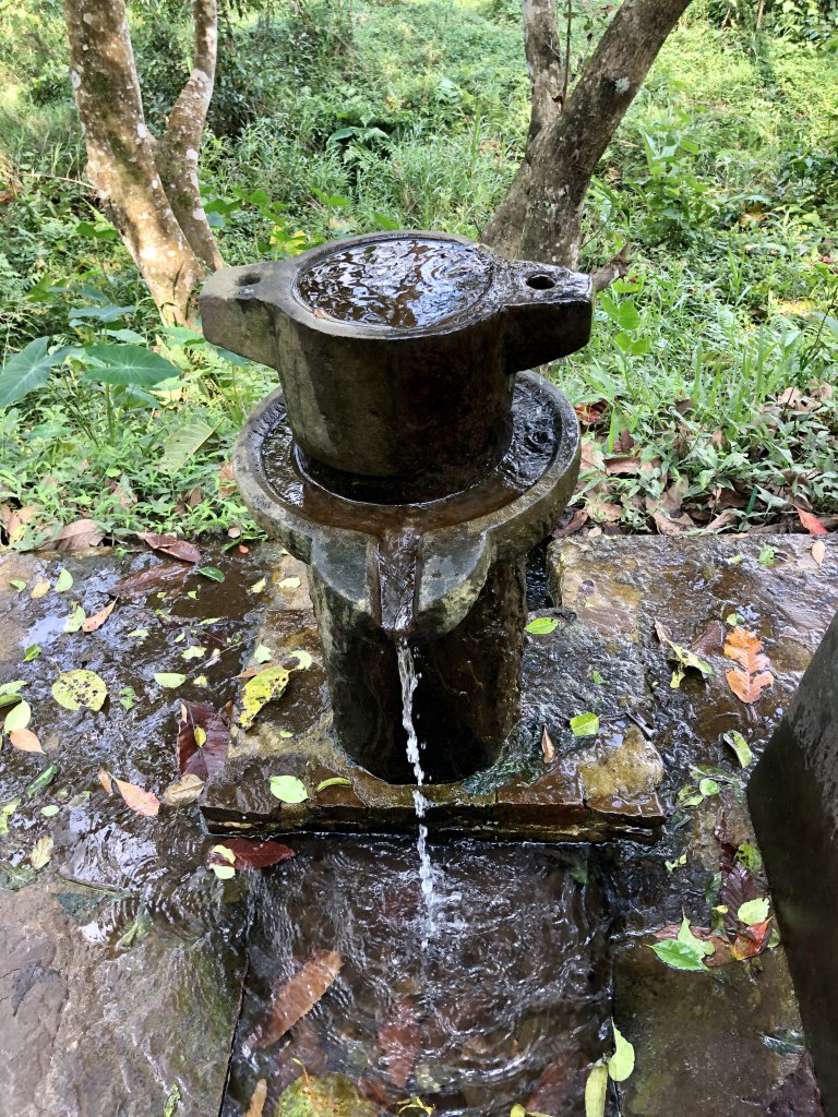 IMG_5883.jpeg