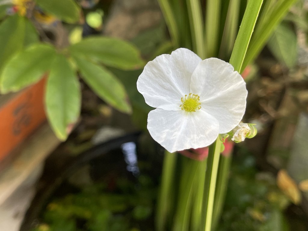 IMG_3615.jpeg