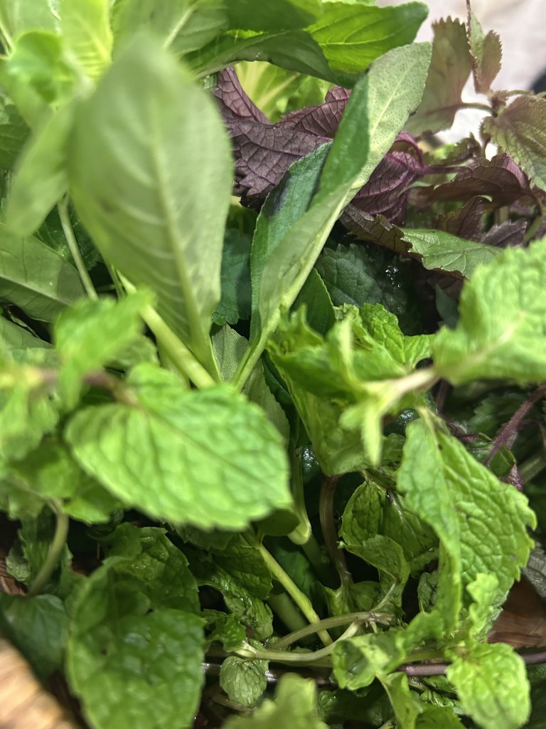 IMG_0923.jpeg