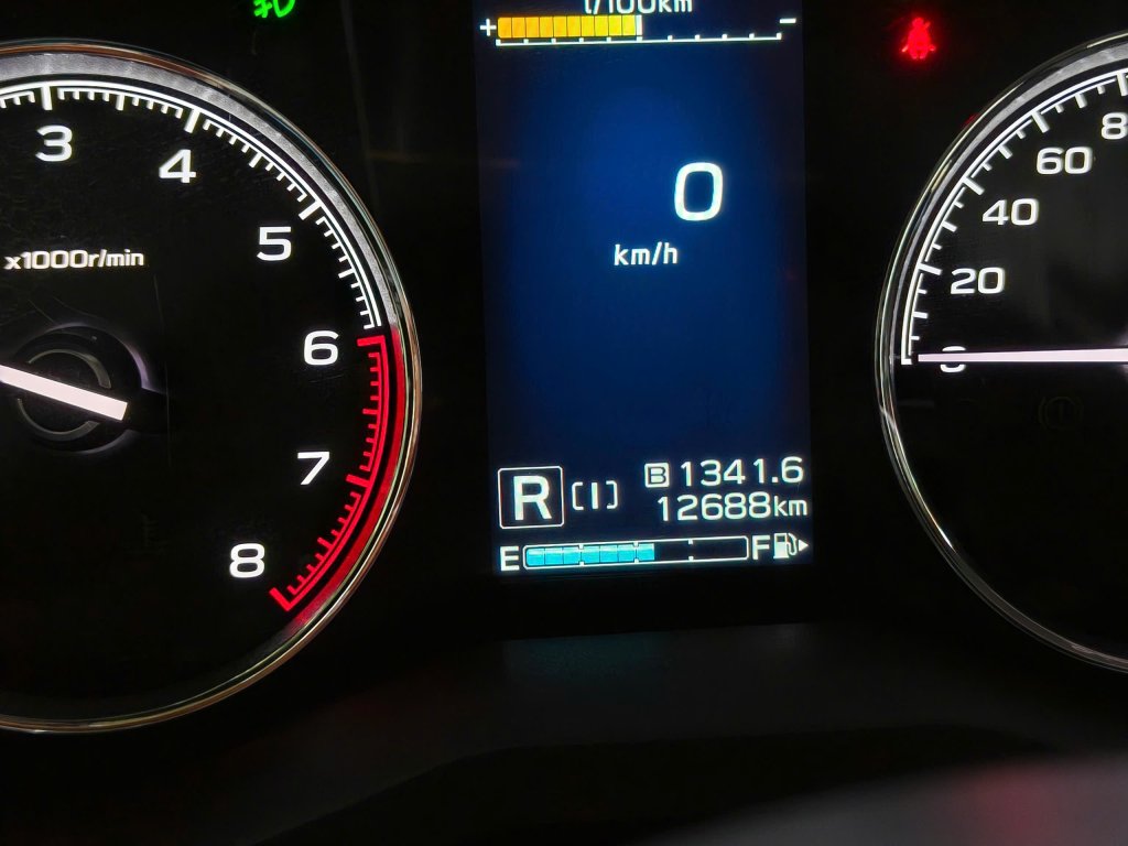 1000009110.jpg