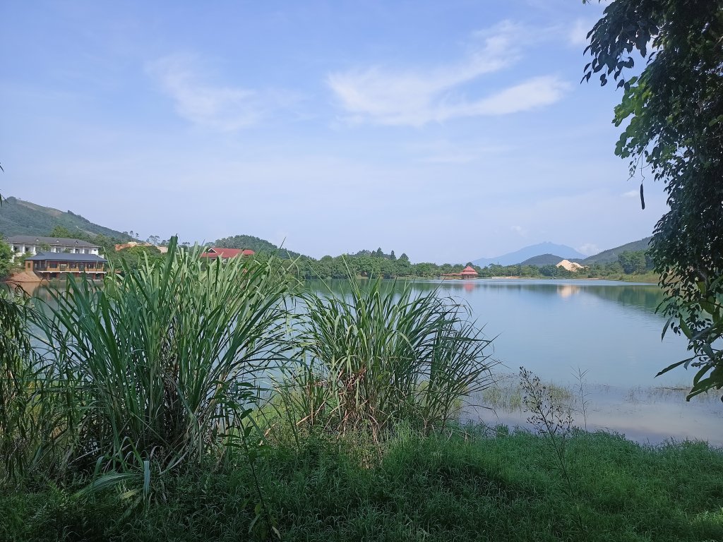 IMG20250730145604.jpg