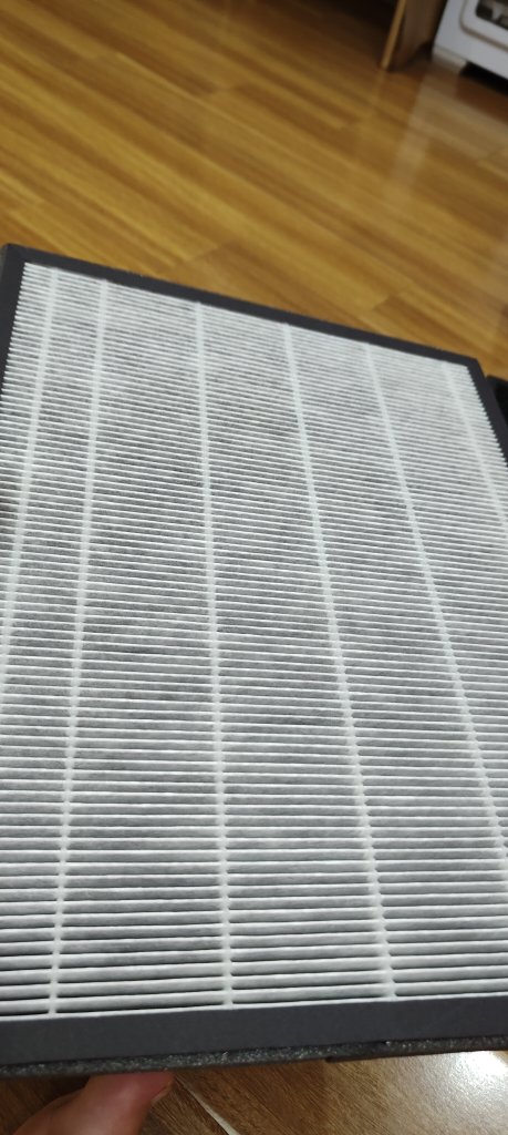 1000170054.jpg