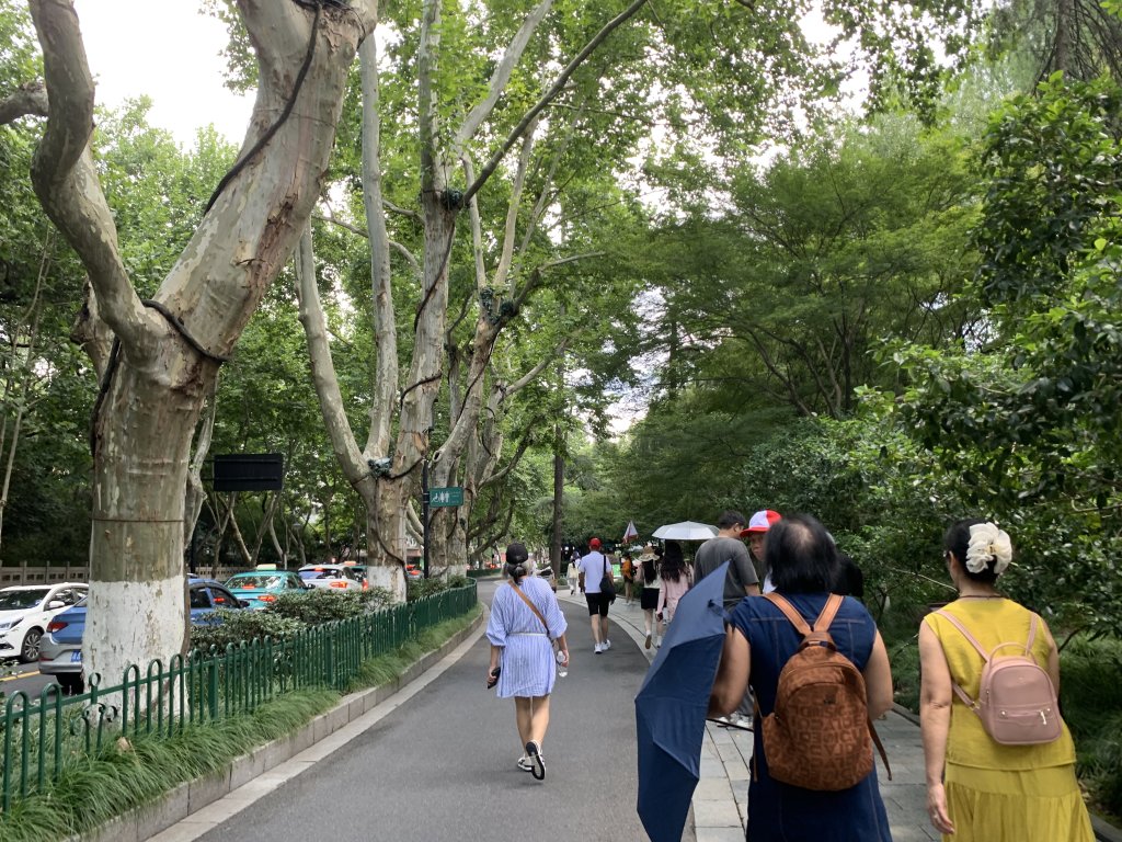 IMG_5766.jpeg