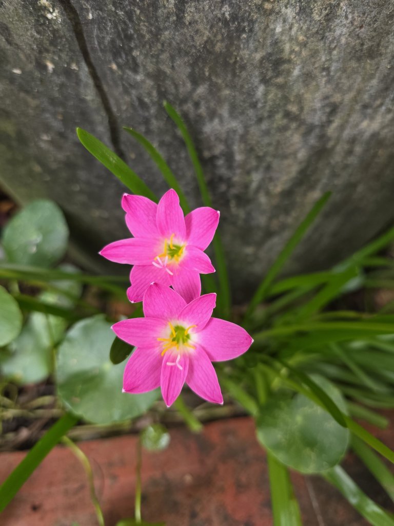 1000027663.jpg