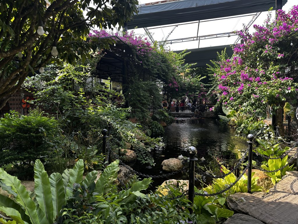 IMG_1890.jpeg