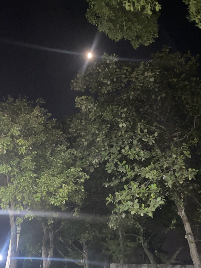 IMG_1112.jpeg