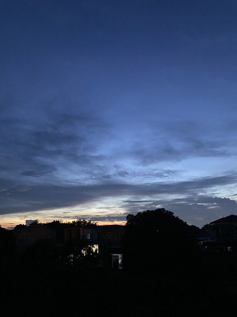 IMG_6175.jpeg