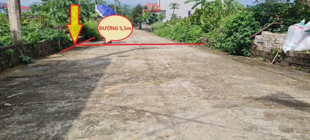 Đường-1.jpg