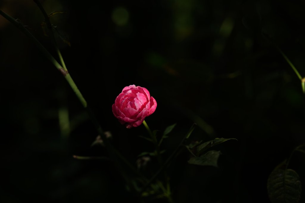 47E0F276-42C3-4D8F-8E7B-A7B189677863.jpeg