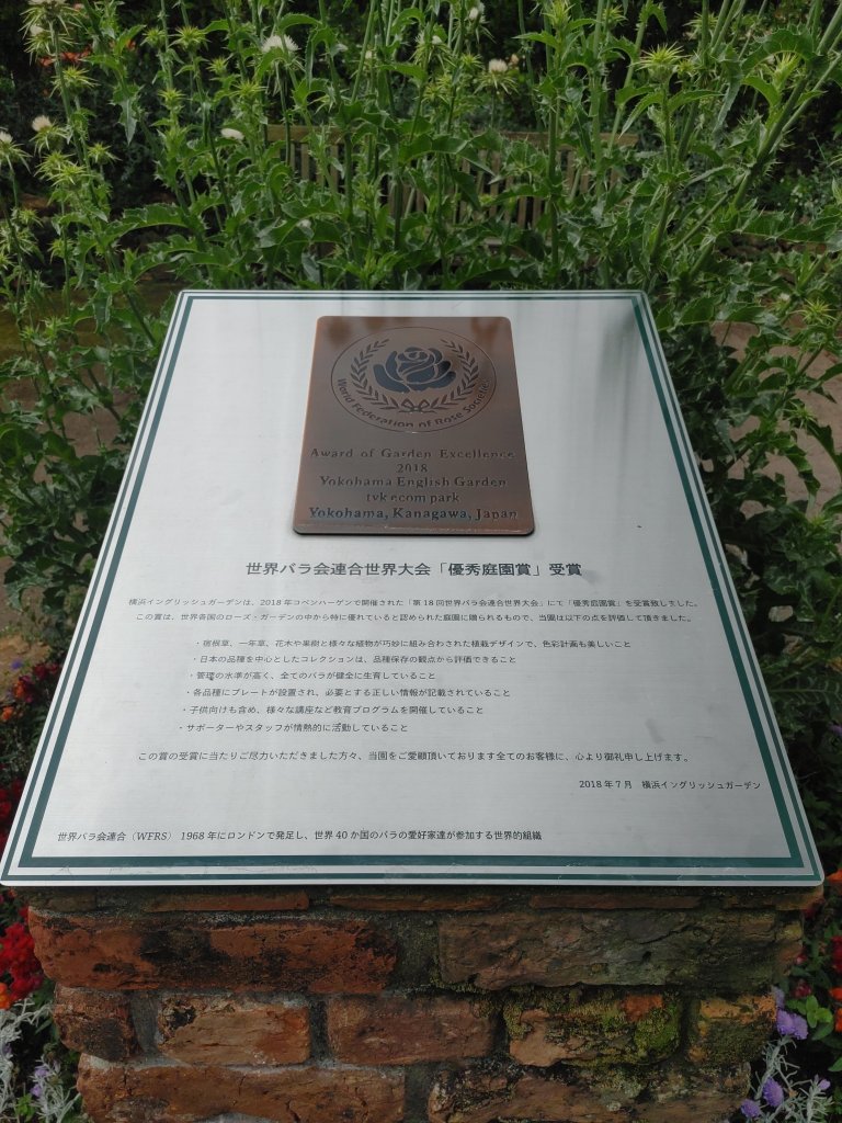 20250509_120030.jpg