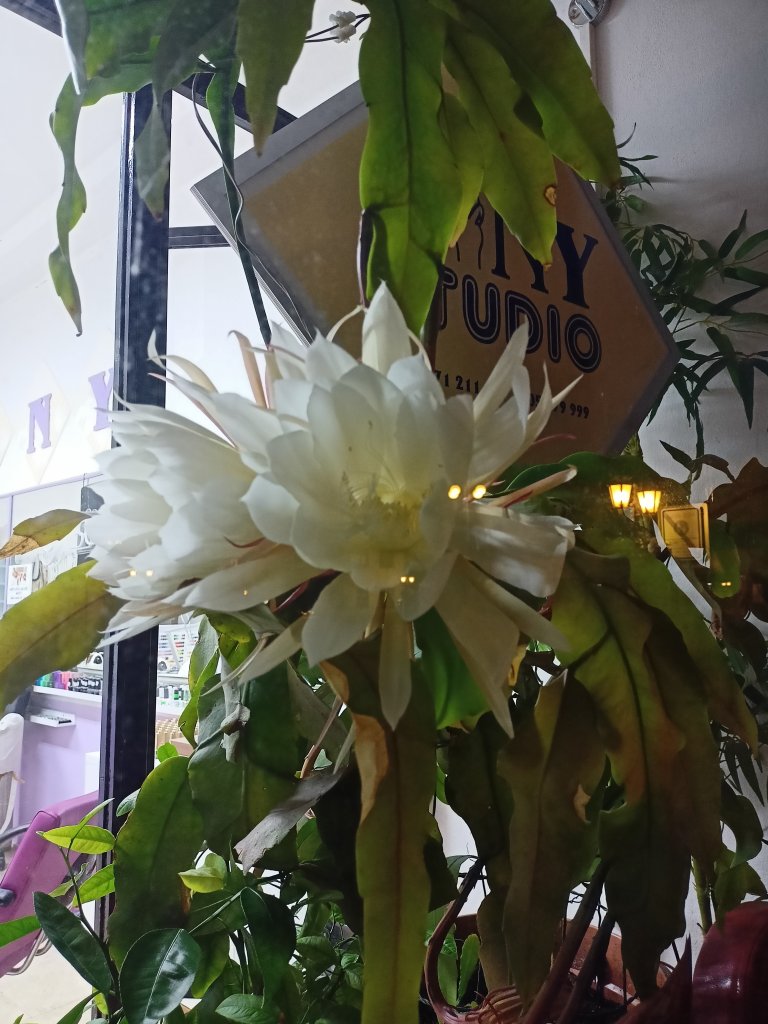 IMG20250808212753.jpg