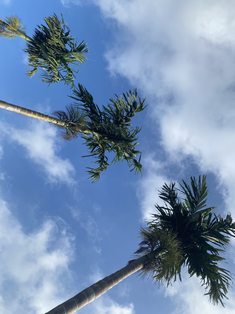 83410027-42AC-4477-B75B-A359C0B31512.jpeg