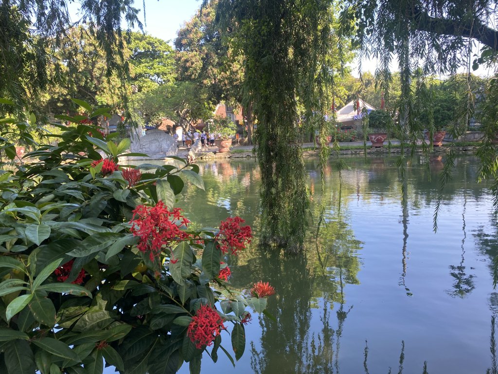 IMG_1311.jpeg