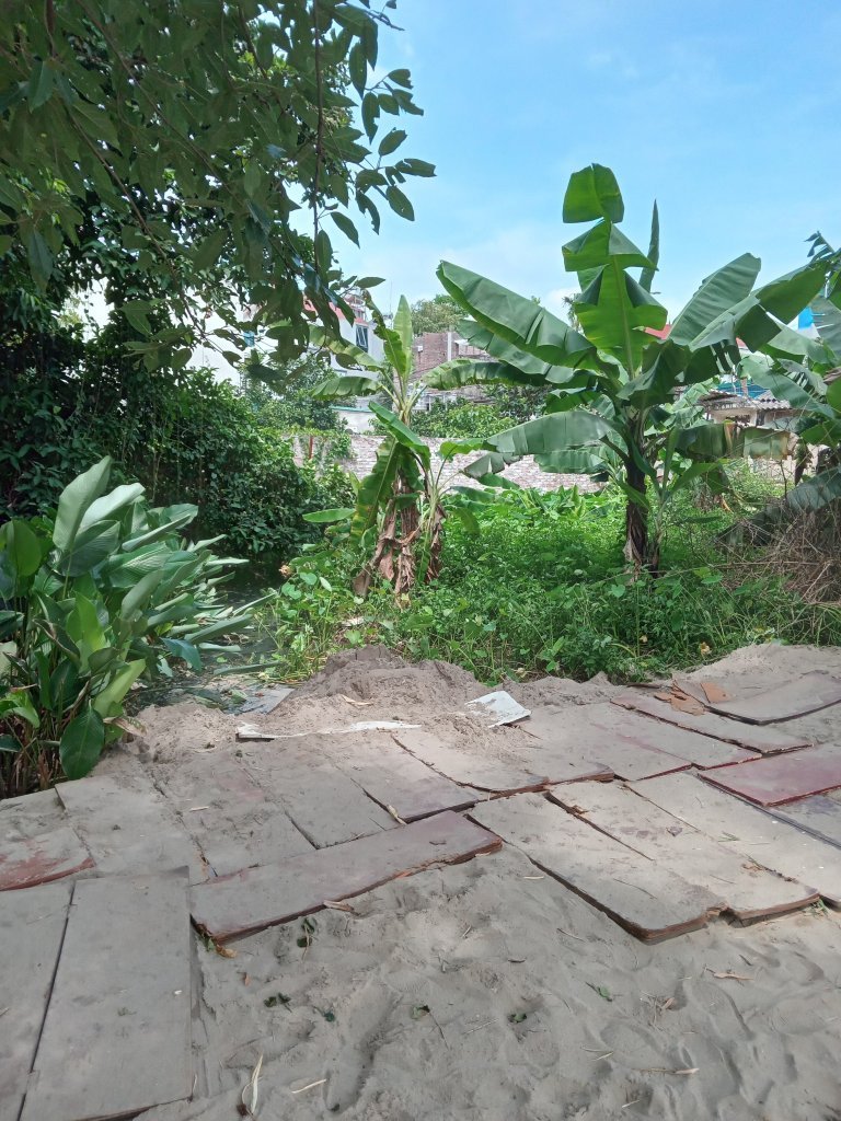 8563433-7d842f659019542cf9abaf97175b8637.jpeg