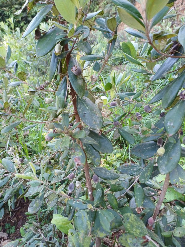 IMG_3760.jpeg