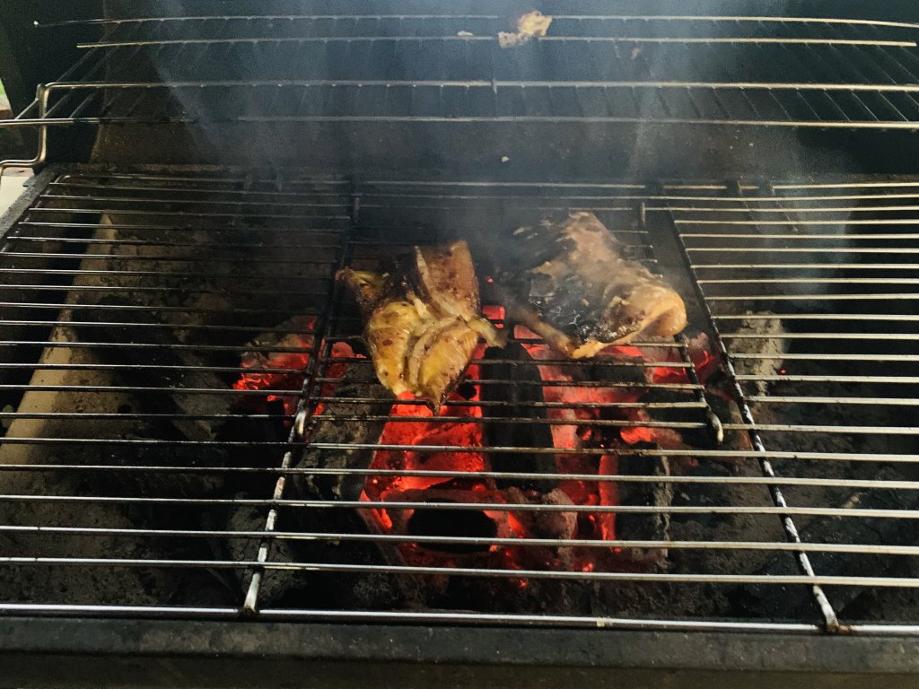 IMG_8993.jpeg