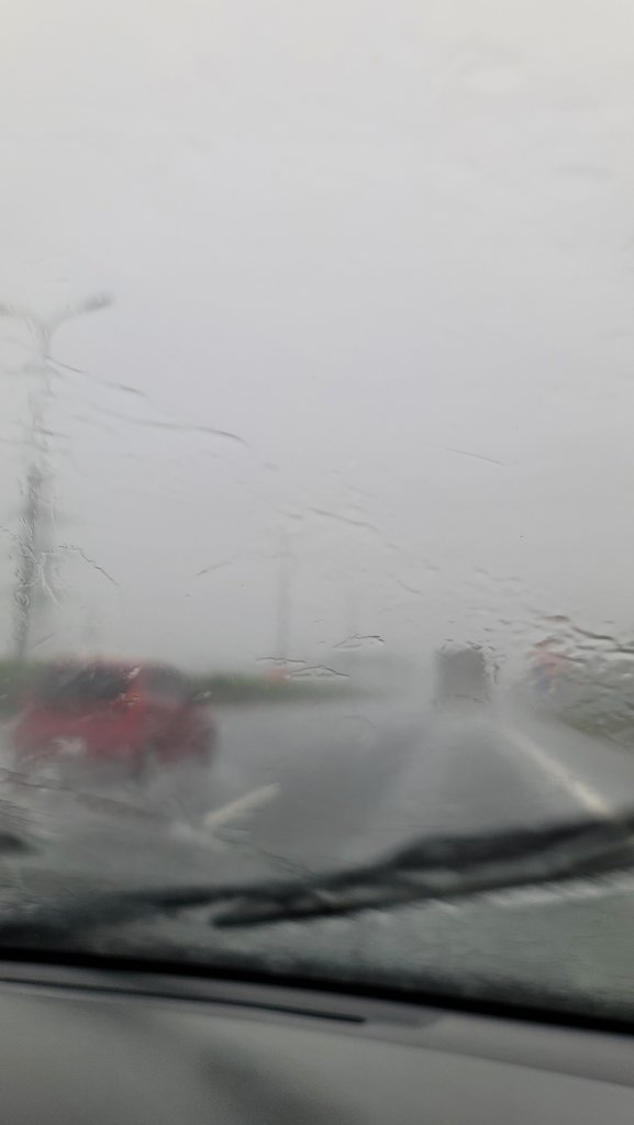20250810_132458.jpg