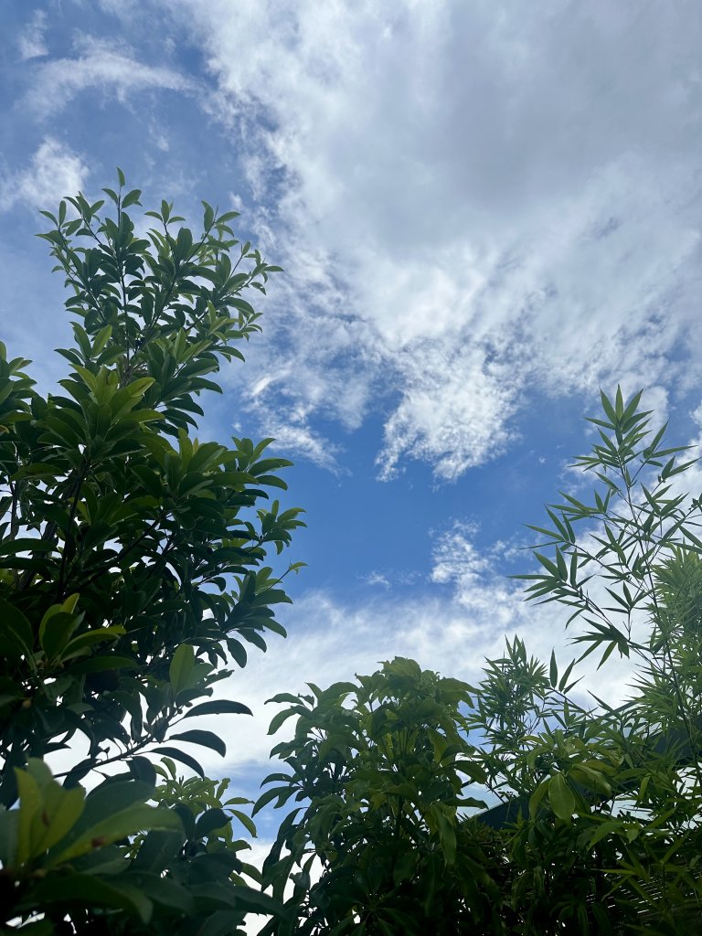 IMG_3076.jpeg